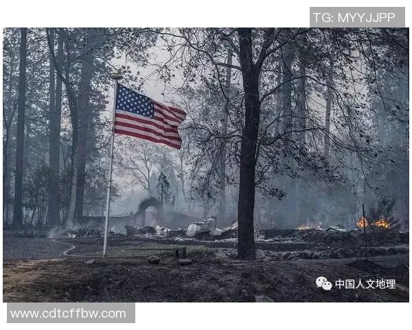 足球明星在战火中陨落的悲剧背后揭示的真相与反思